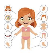In this video, i have provided body parts worksheet for kids. Preschool Body Parts Vector Images Over 260