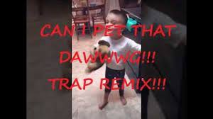 Maybe you would like to learn more about one of these? Can I Pet That Dog Trap Remix With Dancing Dogs Youtube