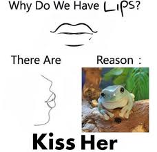 Pin By Kotani Maki On Frogs In 2021 Frog Pictures Cute Frogs Mood Pics