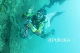 Palung mariana terkenal sebagai palung terdalam di dunia yang terletak di sebelah barat laut samudra pasifik. Penyelam As Temukan Plastik Di Dasar Laut Terdalam Dunia Republika Online