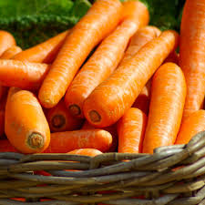 Growing Autumn And Winter Vegetables Latest Help Advice