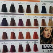 Zat warna merupakan sejenis bahan kimia yang memiliki efek/ kesan warna yang dapat dinikmati dengan indera. Ilvasto Cat Semir Rambut Ilvasto Italy Professional Hair Color Shopee Indonesia