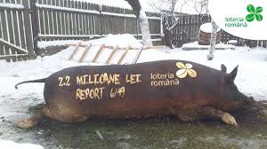 Selectati luna ianuarie februarie martie aprilie mai iunie iulie august septembrie octombrie noiembrie decembrie. Loto Loto 6 Din 49 Rezultate Loto 10 Decembrie 2017 Numere Loto 10 12 2017