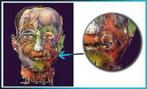Apart from the camel this is a masterpiece of a painting because as you see there is a mans face madeup of animals.from far. Will Finding A Camel In An Image Help In Diagnosing Risk Of Alzheimer S