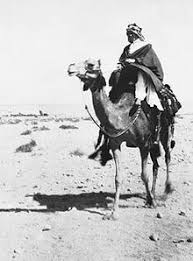 Also ,in the daytime, when the sun is high, the eyes do not. Battle Of Aqaba Wikipedia
