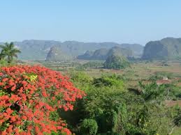 Cultivated vinales valley (valle de vinales) with karst hills mogotes, pinar del rio province, cuba. Hotel Und Unterkunft Auf Kuba Vinales