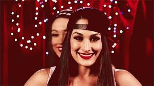 A Lot Like Sin (Brie & Nikki Bella X Male Reader)