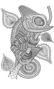 Pin On Animal Coloring Pages For Adults
