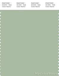 Looking for the perfect color for your next project? Pantone Color Smoke Green Pantone Smart 15 6315 Tcx Color Swatch Card Pantone Smoke Green Pantone Color Swatch Pantone Color