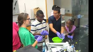 C-MEDS Interns Focus