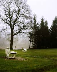 Park Park Bank Tree Park Bench Trueb Park Park Bank Tree Parkbench Trueb Park Hill Park Nature Preserve