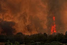 Εθελοντεσ του ερυθρου σταυρου φροντιζουν σκυλο; B5s26w1ew5agrm