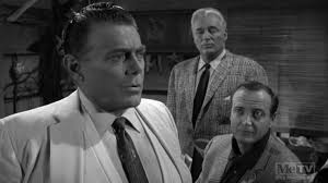 Perry Mason season 8 The Case of the Feather Cloak Reviews