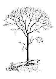 Free trees coloring page to download funny apple tree coloring page printable trees coloring page to print and color for free Free Printable Tree Coloring Pages For Kids