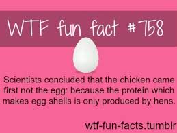 Finally An Answer Wtf Fun Facts Fun Facts Funny Facts