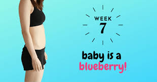 Check spelling or type a new query. 7 Weeks Pregnant Bumpdate Baby Is A Blueberry Pursue Today
