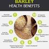 Learn about the potential benefits of barley including contraindications, adverse reactions barley is a food staple and is also brewed into beer, fermented to make miso, and processed to yield malt sugar. 1