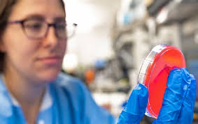 Extraordinary people, extraordinary times