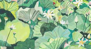 Find best green wallpaper and ideas by device, resolution, and quality (hd, 4k) from a curated website list. Wallpaper Of The Feed Forest Green Ohh Deer Blog Aesthetic Desktop Wallpaper Desktop Wallpaper Art Cute Desktop Wallpaper