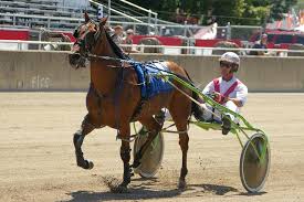 1st half of harness racing complete