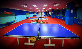 The singapore women's table tennis team that created history in 2010 included feng tianwei, wang yuegu, sun beibei, li jiawei, and yu mengyu. New Century Table Tennis Academy Singapore Home Facebook