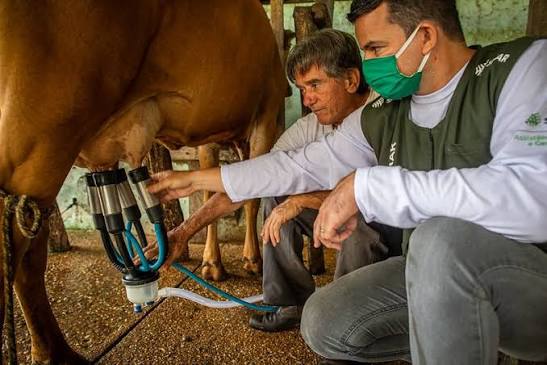 Palestra vai orientar produtores sobre impactos da reforma tribut&aacute;ria na produ&ccedil;&atilde;o de leite em MT - Vida Rural MT | Not&iacute;cias do Agroneg&oacute;cio Mato-Grossense