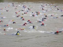 Faltam 10 dias para as olimpíadas de tóquio e o brasil estará presente com sua maior. Regras Da Natacao Maratona Aquatica 10km Resumo Escolar