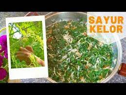 Cara Membuat Sayur Kelor Khas Bali How To Make Moringa Vegetable Youtube Kelor Sayuran Bayam