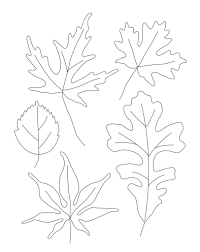 How To Draw Leaves Contour Leaf Drawings Welcome To Ms Long39s Class Leaf Drawing Leaves Doodle Drawings