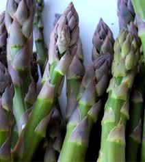 Image result for Asparagus buchananii