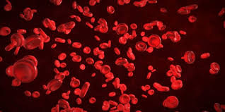 Sind die werte überhöht, dann liegt zumeist eine funktionsstörung der nieren vor. Ein Blutbild Machen Lassen Das Mussen Sie Beachten