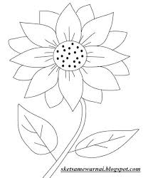 Untuk mewarnai gambar tentunya tidak perlu menggunakan pensil yang mahal, anda juga bisa mewarnai dengan pensil berwarna, crayon atau pensil biasa sekalipun. Sketsa Gambar Mewarnai Bunga Matahari Gambar Mewarnai Bunga