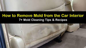 To improve the general smell of your car, you can sprinkle a generous amount of baking soda on the car seats, the carpets, and the floor mats. 7 Ways To Remove Mold From The Car Interior
