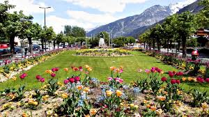 Find best latest flower garden. Flower Garden Wallpaper Free Hd For Desktop