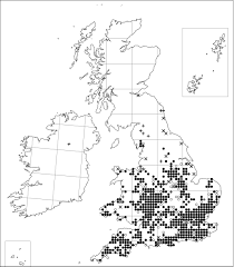 The survey also found that 58% of black and latino prospective financial planners have never seriously thought of becoming financial planners. Biological Flora Of The British Isles Sorbus Torminalis Thomas 2017 Journal Of Ecology Wiley Online Library