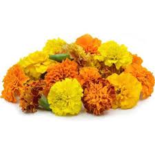 Maybe you would like to learn more about one of these? Buy Blooms Bouquets Flower Mix Marigold Zendu Flowers Online At Best Price Bigbasket