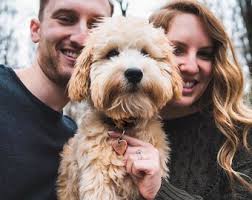 Custom Dog Proposal Tag