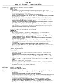 Animal Resume Samples Velvet Jobs