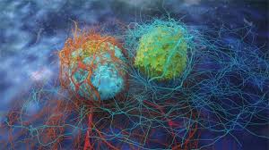 Discover conserved relationships between immune and stroma activity that are prognostic and predictive of response to immunotherapy across cancer types. Cancer Drug Discovery A Molecular Journey To Targeted Treatment Technology Networks