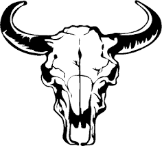 States North Carolina Eyecandy Decals Online Shopping Cart Clipart Best Clipart Best Skull Stencil Skull Drawing Skulls Drawing