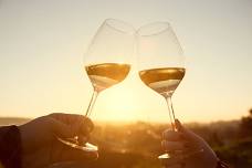 Sip & Savor - SnyderSTRONG Scholarship Fundraiser