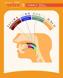 Pin By Lauren Hill On Speech Pathology Speech Language