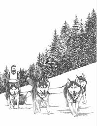 A child pulling a sled with his happy little dog coloring page. Pin By Dawn Owens On Iditarod Dog Sledding Animal Illustration Dog Coloring Page