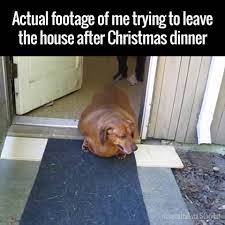 Me After Christmas Dinner | "2018 will be my year" ?? | By UNILAD |  Facebook