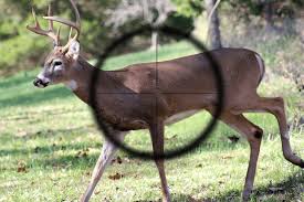 Pin On Hunting