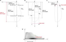 Selecție premium bine out x potrivire grozavă avem oferte mai bune la irigare. Analysis Of 1 2 Million Foot Scans From North America Europe And Asia Scientific Reports