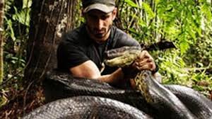 Check spelling or type a new query. Ular Anakonda Raksasa Ditemukan Di Brasil Tribunnews Com Mobile