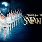Swan Lake Performance
