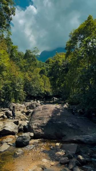 Sinharaja Rainforest