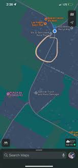 On our way to Austin we saw a possibly injured orange and white cat right  in the middle of busy traffic, it dashed out just in time to the left side  of